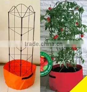 Tomato Growing Spiral Stake thumbnail-1
