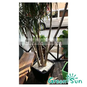 Rattan Furniture Decoration Pots With Water Indicator,garden Planter Pots,self-watering Planter,hydroponic Systems Planter Pots thumbnail-3