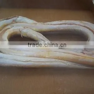 Frozen Eel Fish thumbnail-3