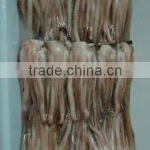 Frozen Illex Squid Tentacle thumbnail-2