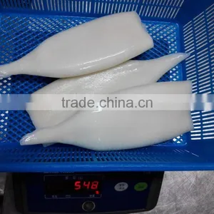 Wholesale Frozen Seafood Squid Tube thumbnail-3