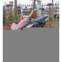 Sell Mini Quad thumbnail-1