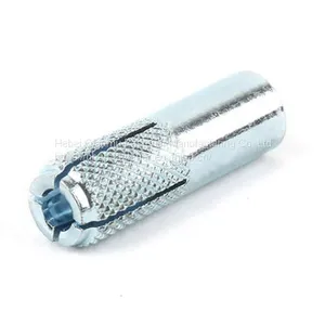 Hot Sale Galvanized Drop in Anchor for Concrete Drop in Anchor Bolt Hot Sale Galvanized Drop in Anchor thumbnail-3