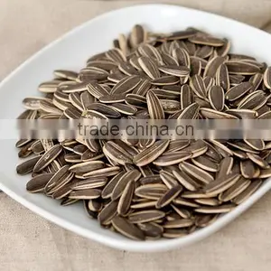 New Crop 5009 Long Shape Sunflower Seed thumbnail-1