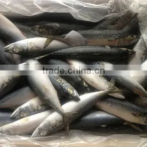 Among Meat Raw Materials Processing thumbnail-1