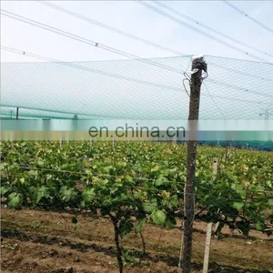 Free Sample Hdpe 50gsm Anti Hail Net thumbnail-5