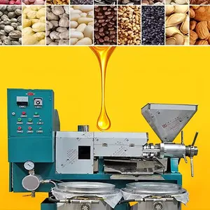 Pine Nut Soybean Oil Extraction Palm Kernel Oil Press Machine Hot and Cold Oil Production Line for Small Business thumbnail-4