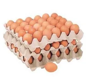 Semi Automatic Egg Tray Making Production Line / Paper Pulp Fruit Tray Machine thumbnail-6