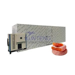 Energy Saving Hollyhock Chrysanthemum Day Lily Begonia Fruit Heat Pump Dryer Drying Production Line thumbnail-1