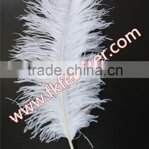 Natural Craft Feather Big White Ostrich Feather For Wedding And Party Decoration 60cm-65cm thumbnail-4