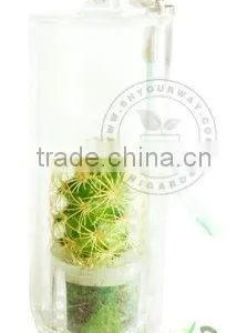 Promotion Gift,Mobile Phone Accessories,pet Tree thumbnail-1