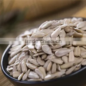 Hulled Sunflower Kernels Confectionary Grade and Bakery Grade thumbnail-3