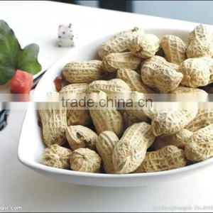 Blanched Peanut 40/50 From China thumbnail-1