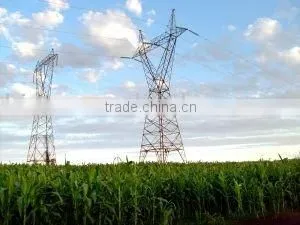 Electric Tower thumbnail-1