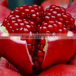 Red Sweet Pomegranates thumbnail-1