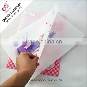 Factory Custom Clear Plastic Folder Sheet/pp File Holder Quality Choice thumbnail-1