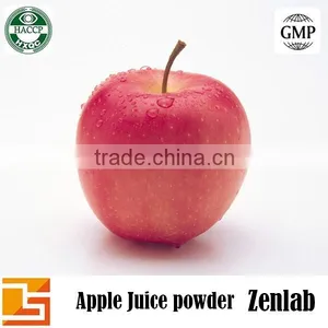 Freeze Dried Apple Juice Powder thumbnail-1
