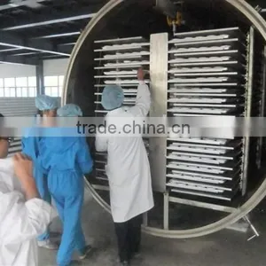 Vacuum Freeze Dryer(lyophilizer ) thumbnail-5