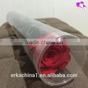 Natural Preserved Roses With Stems thumbnail-2