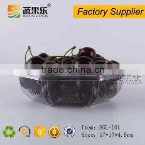 Blister Process Type Clear Plastic Blister Tray for Food Packaging thumbnail-1