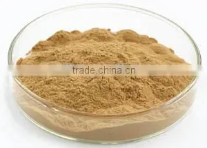 Gymnema Silvestre Extract Powder 25%/50%/75% thumbnail-2