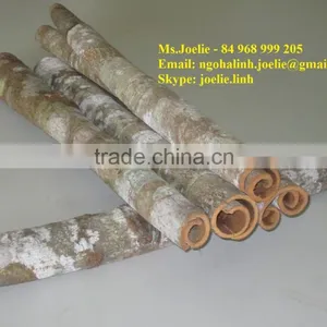 VIETNAM CASSIA / CINNAMON thumbnail-1