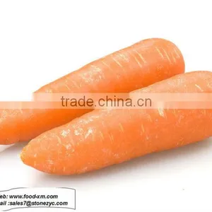 Cheap Carrot thumbnail-1