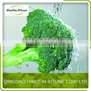 Frozen Broccoli thumbnail-1