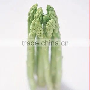 IQF Green Asparagus thumbnail-1