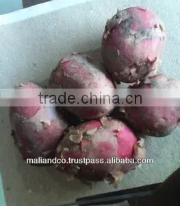 Potato thumbnail-1