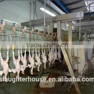 304 Stainless Steel Chick Used Plucking Machine for Slaughterhouse thumbnail-1