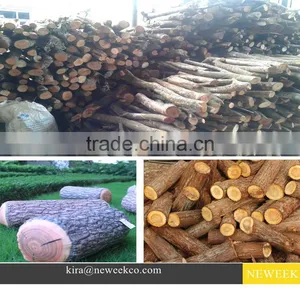 NEWEEK Wood Processing Circular Saw Slasher for Sale thumbnail-6