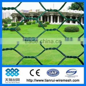 Galvanized and Pvc Coated Hexagonal Chicken Wire Mesh (Since 1989,ISO) thumbnail-1