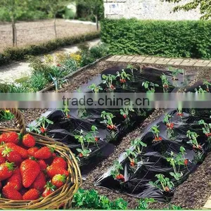 PE Plastic Agricultural Mulching Film thumbnail-4