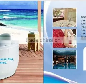 Outdoor Spa Water Treatment 300mg/h Bwt Balboa Spa Ozone Generator thumbnail-6