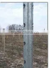 Grape Post thumbnail-1