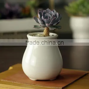 Attractive Indoor Glazed White Ceramic Small Flower Pots thumbnail-1