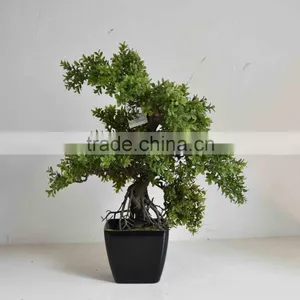 SJ0301125 Guangzhou Shengjie Artificial Plant Wholesale Cypress Bonsai Tree thumbnail-2