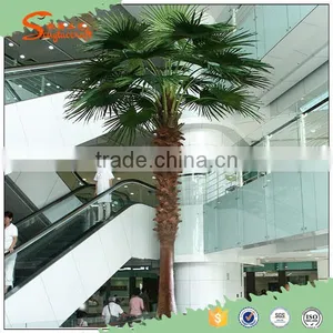 Outdoor Decorative Plasitc Tree,artificial Palm Tree thumbnail-1