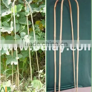Bamboo u Hoop thumbnail-1