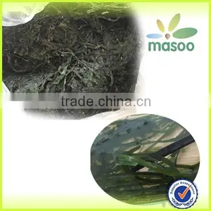 Hot Sale Seaweed Laminaria, Dried Seaweed Laminaria From China thumbnail-1