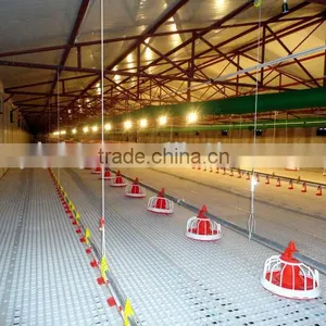 Automatic Feeding Line for Broiler and Breeder thumbnail-3