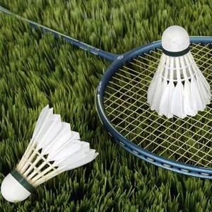 Professional Using Quality Badminton Shuttlecocks for Practise and Competition thumbnail-1
