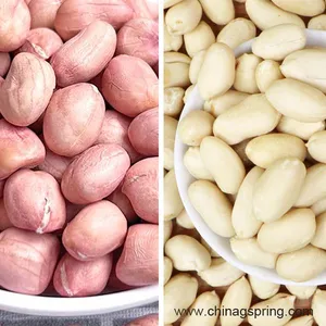 Industrial Wet Peeler Machine Nuts Peeling Machine Automatic Peanut Red Skin Peeling Machine for Peanut Processing thumbnail-4