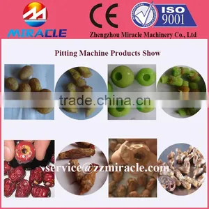 Fast Delivery Date Palm Core Seed Removing Machine From Fruit Process thumbnail-4