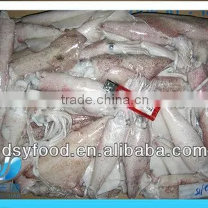 Frozen Whole Baby Squid thumbnail-3