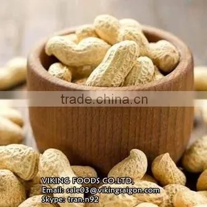 GROUNDNUTS/PEANUTS VIETNAM thumbnail-1