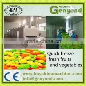 Vegetable & Fruit&Seafood IQF Tunnel Quick Freezer thumbnail-3