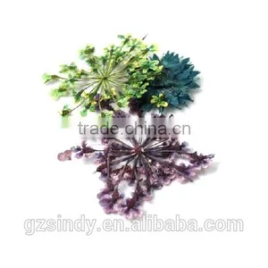 Stickers & Decals 3D Dry Flower, Mix 12 Color Decoration Real Dried Dry Flower for Nail Art Decoration ZX:GH743 Quality Choice thumbnail-2