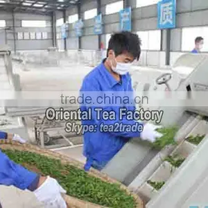 Health Food Body Beauty Tea Tox Slim Fast Weight Loss Tablets thumbnail-4